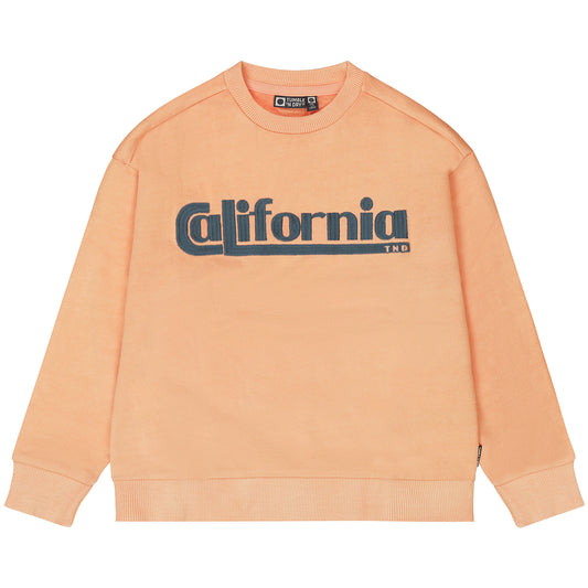 Golden state sweater | coral pink