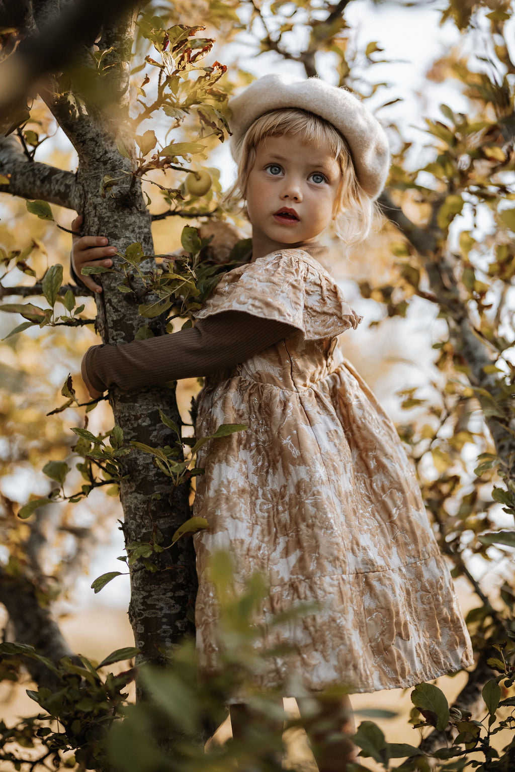 schimmer dress | sandshell schimmer