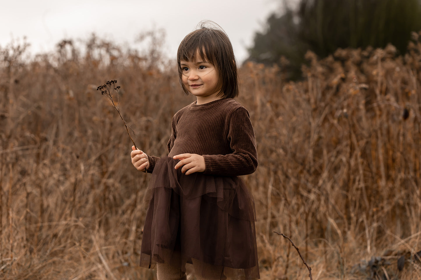 velvet tulle dress | cub