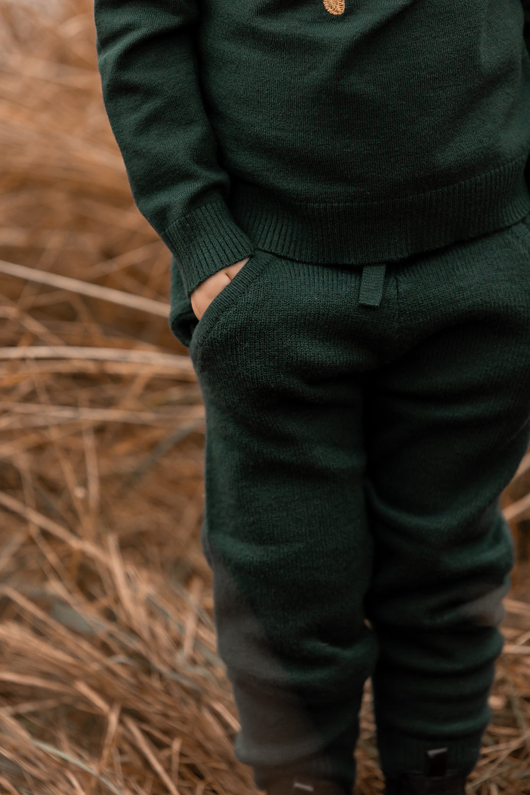 alon pant | pinegrove