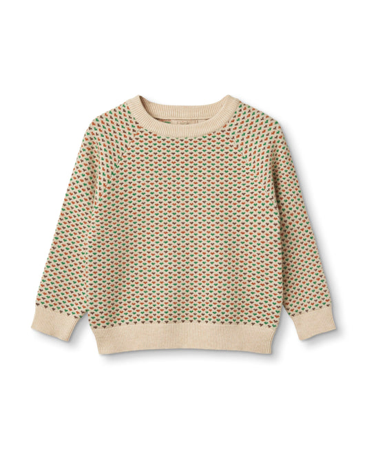 Alon pullover | Multi