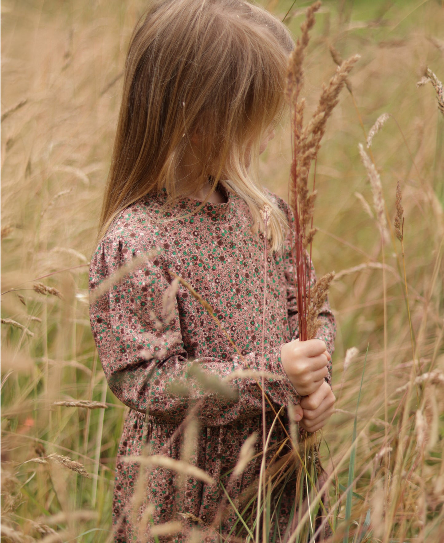 Kelly Dress - Rose Amazone